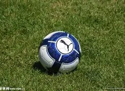 国米今夏平,稳转型,重点培养新,足彩,体彩,彩票,体育彩票,足球彩票,彩票合买,乐发彩票