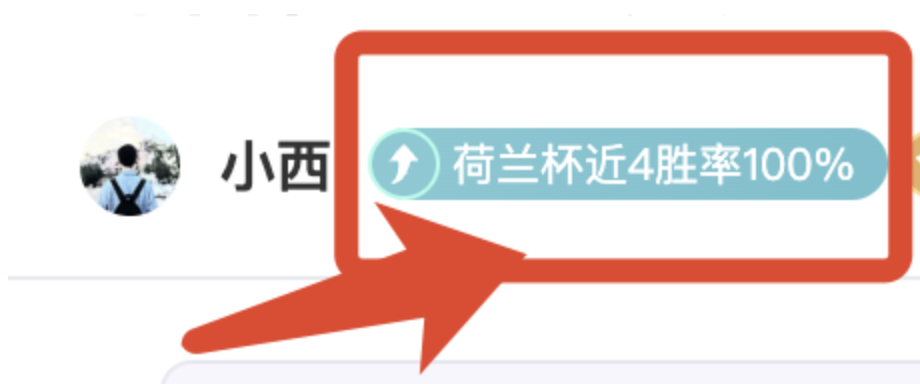 沙尔克,主场对阵比,勒菲尔德,足彩,体彩,彩票,体育彩票,足球彩票,彩票合买,乐发彩票