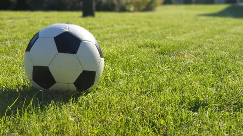 何塞普：索默助力显著，成果丰硕